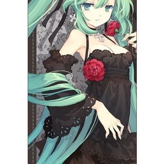 Vocaloid Miku Black Dress Lolita Cosplay Costume--CosplayDeal.com