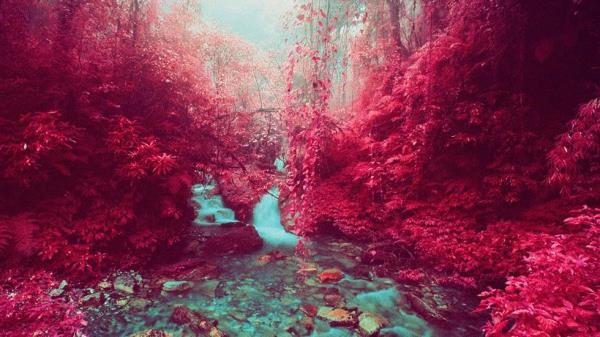 These beautiful images may look like something from an alien world - but they were actually created using a special type of infrared film, Pictured here is from the Annapurna Himalayan Region of Nepal