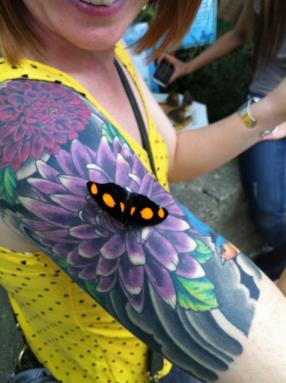 A Butterfly Landed On A Tattoo Thinking It Was A Real Flower
