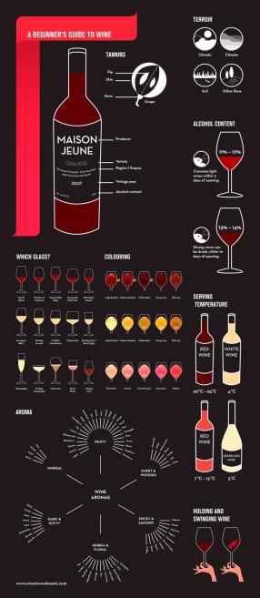 beginners guide to wine