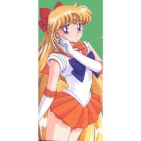 Sailor Moon Aino Minako Sailor Venus Long Cosplay Wig--CosplayDeal.com