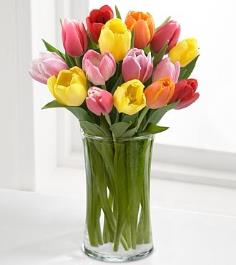 Assorted Color Tulip Bouquet