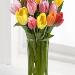Assorted Color Tulip Bouquet
