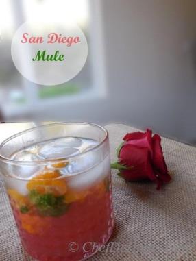 Looking forward to watch my hometown San Diego Chargers take on the Cincinnati Bengals tomorrow, and my San Diego Mule will cheer up the supporters. Cheers!!