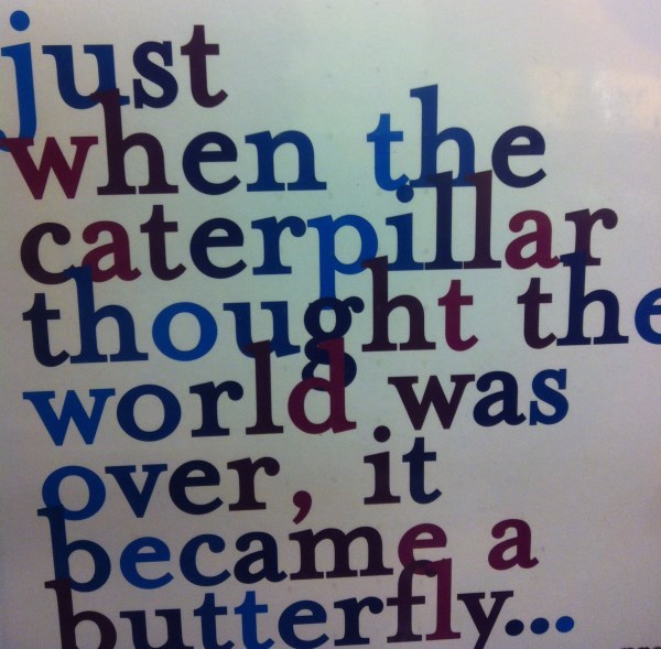 Just when the caterpillar thought the world was over, it became a butterfly...