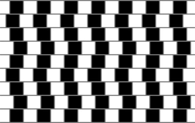Do the straight horizontal gray lines look curvy to you? Hold up a piece of paper to prove that they are straight and parallel to each other.