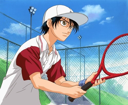 The Prince Of Tennis Selections Team Summer Uniform Cosplay Costume