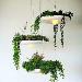 20CM Creative Contracted Sky Garden Lamps And Lanterns Led Pendant Light No Soil Plant Ceiling Lights